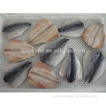Frozen Fish Pacific Mackerel Flap With EU Standard